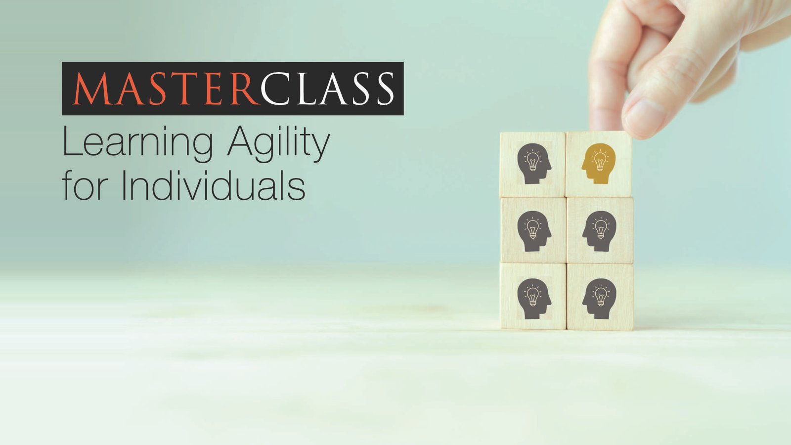 Learning Agility for Individuals