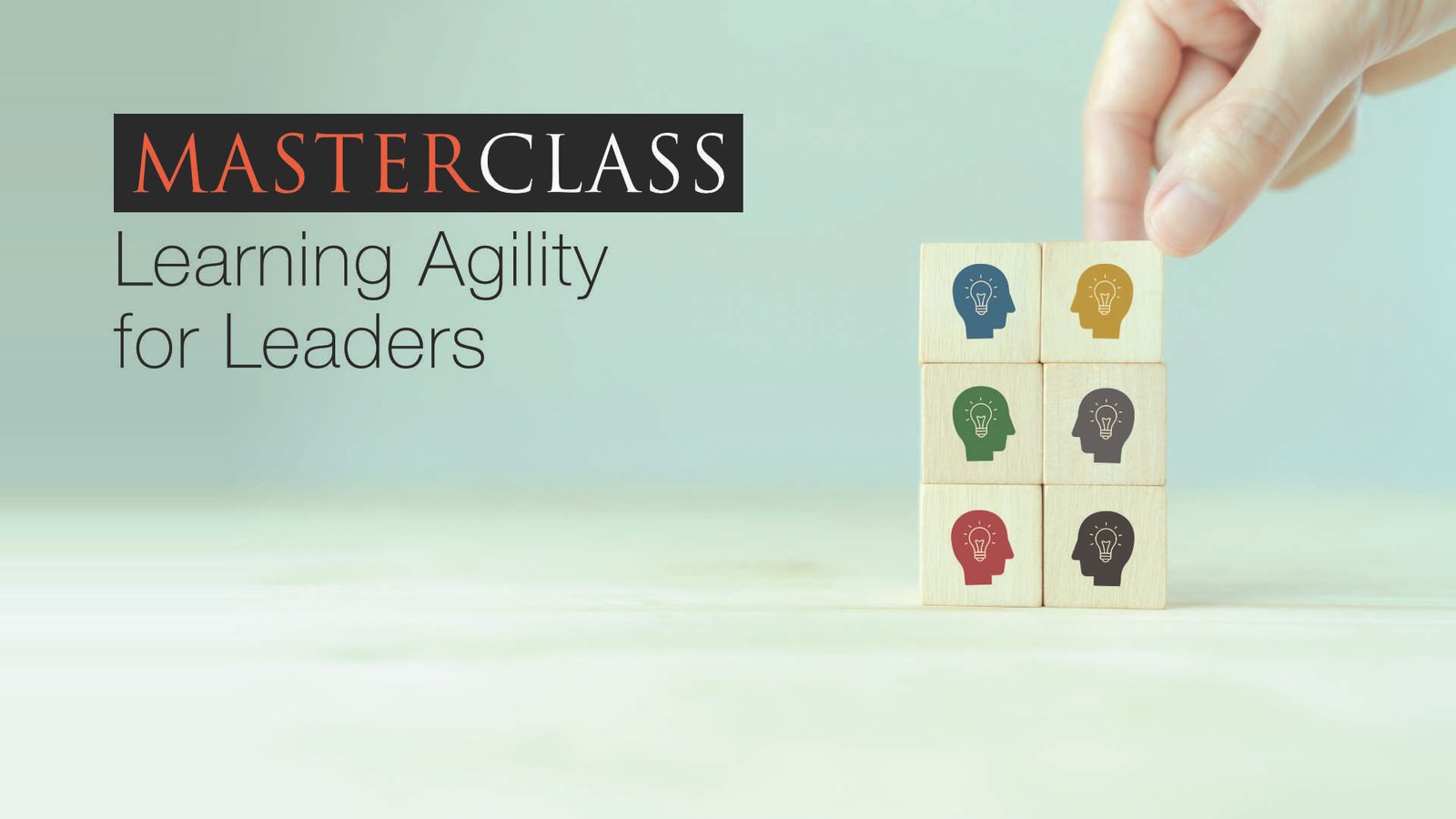 Learning Agility for Leaders